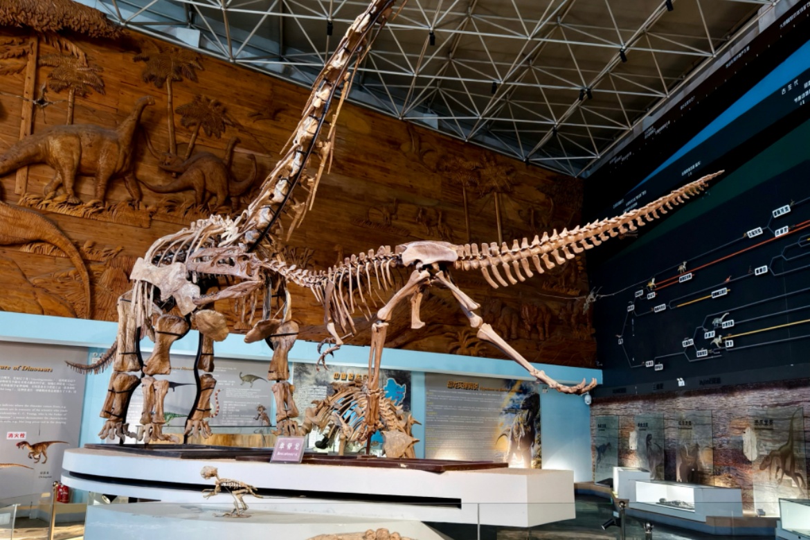 Bird Fossil National Geological Park